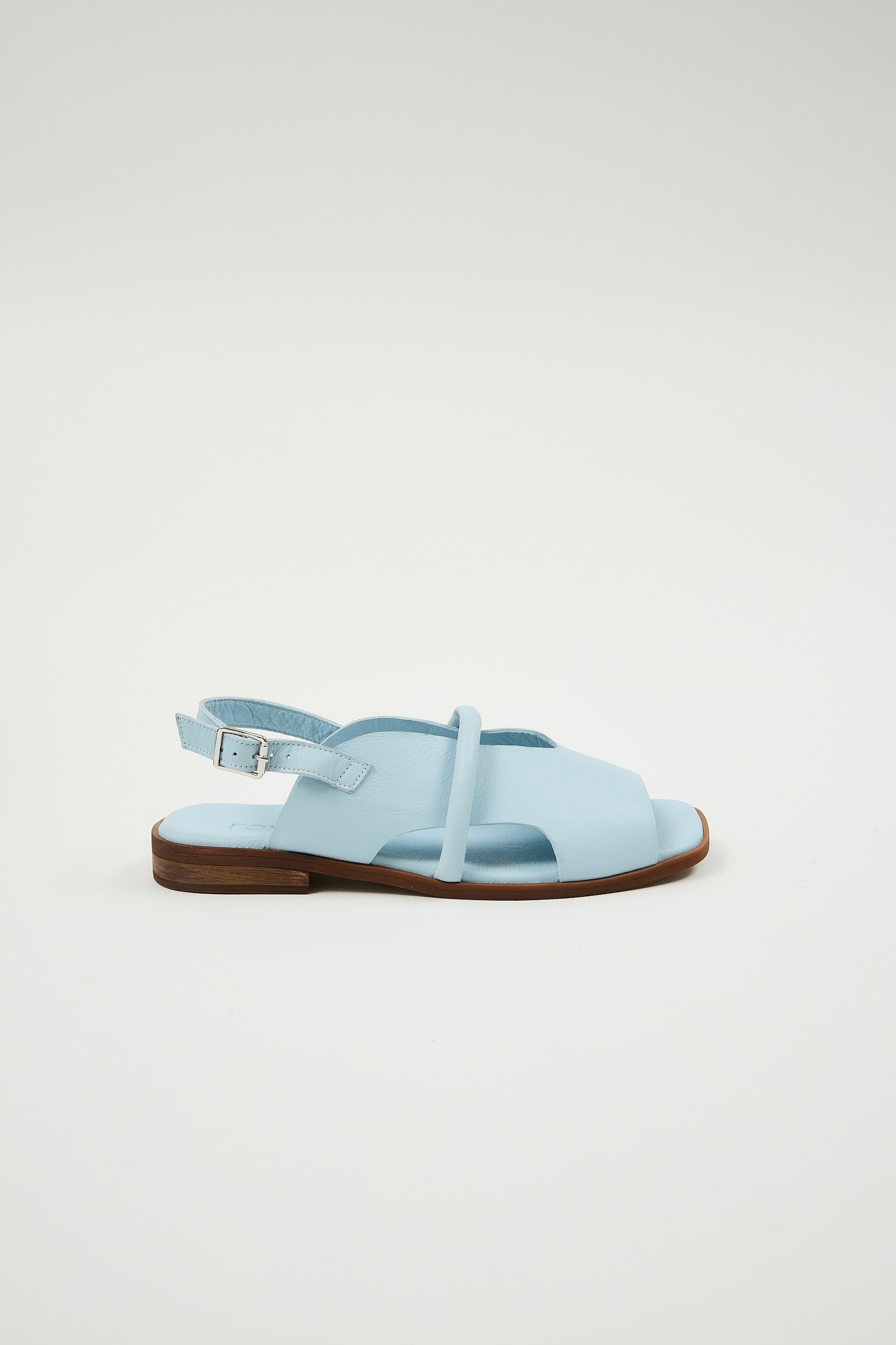 Bergen Blue